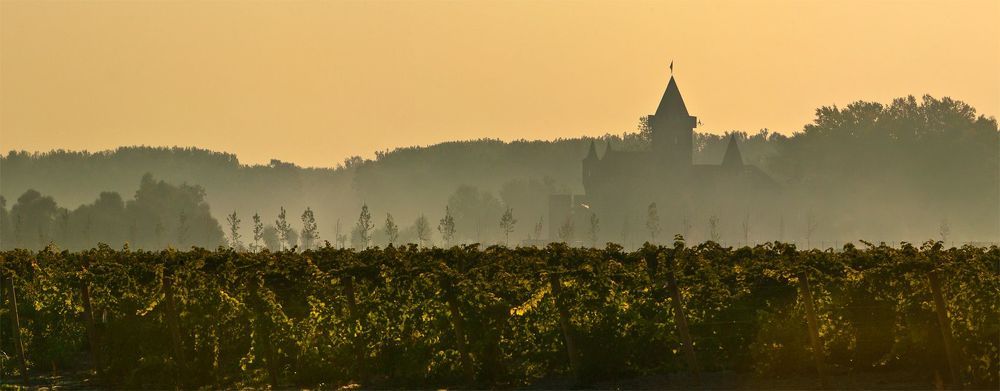 Chateau Erken