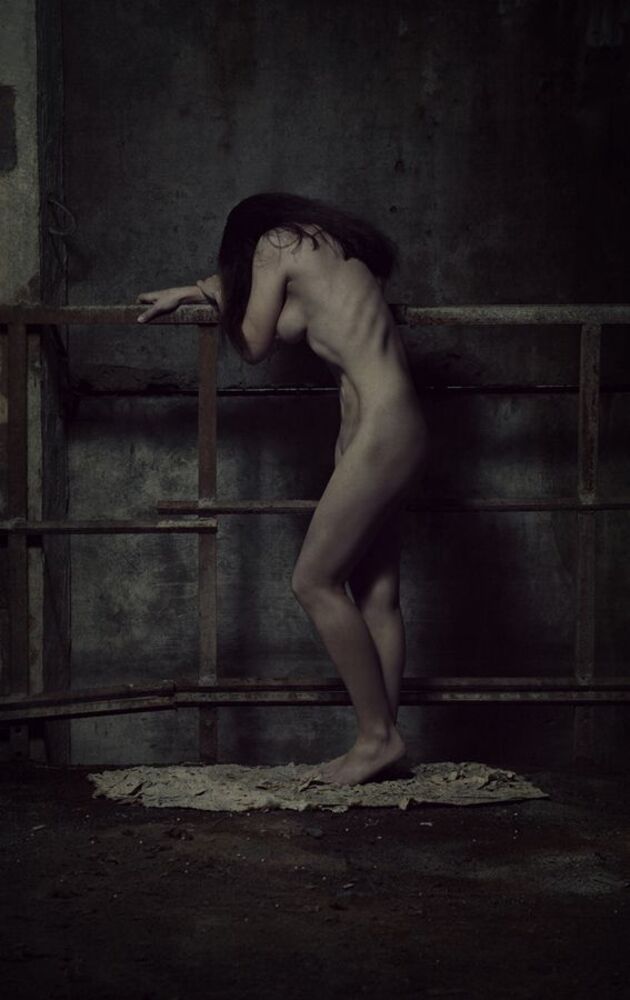 Photo 103776