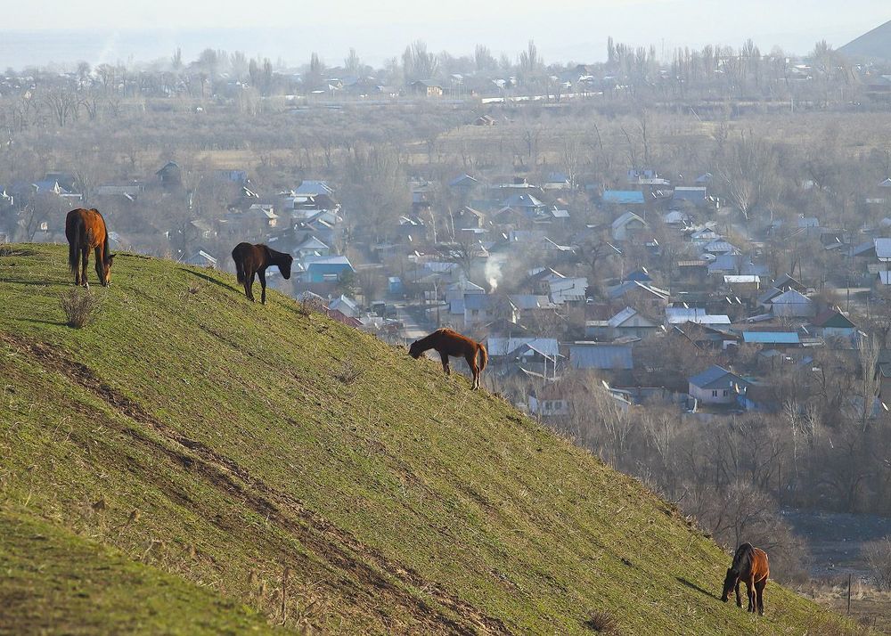 Иссык