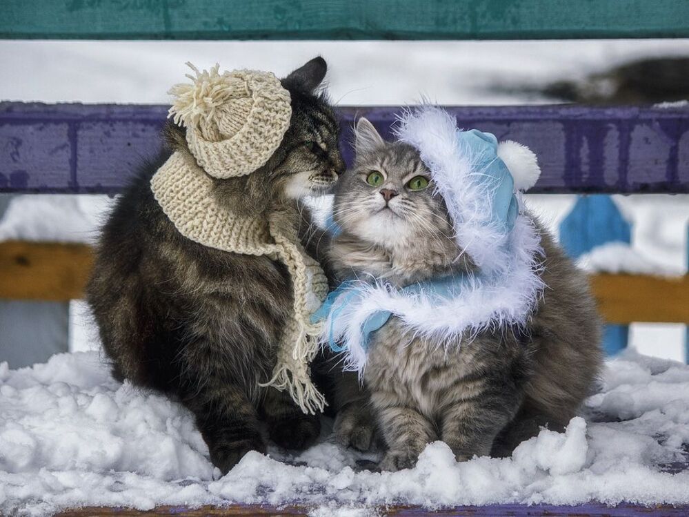 - Ну ладно, поцелуй...только в щечку!
