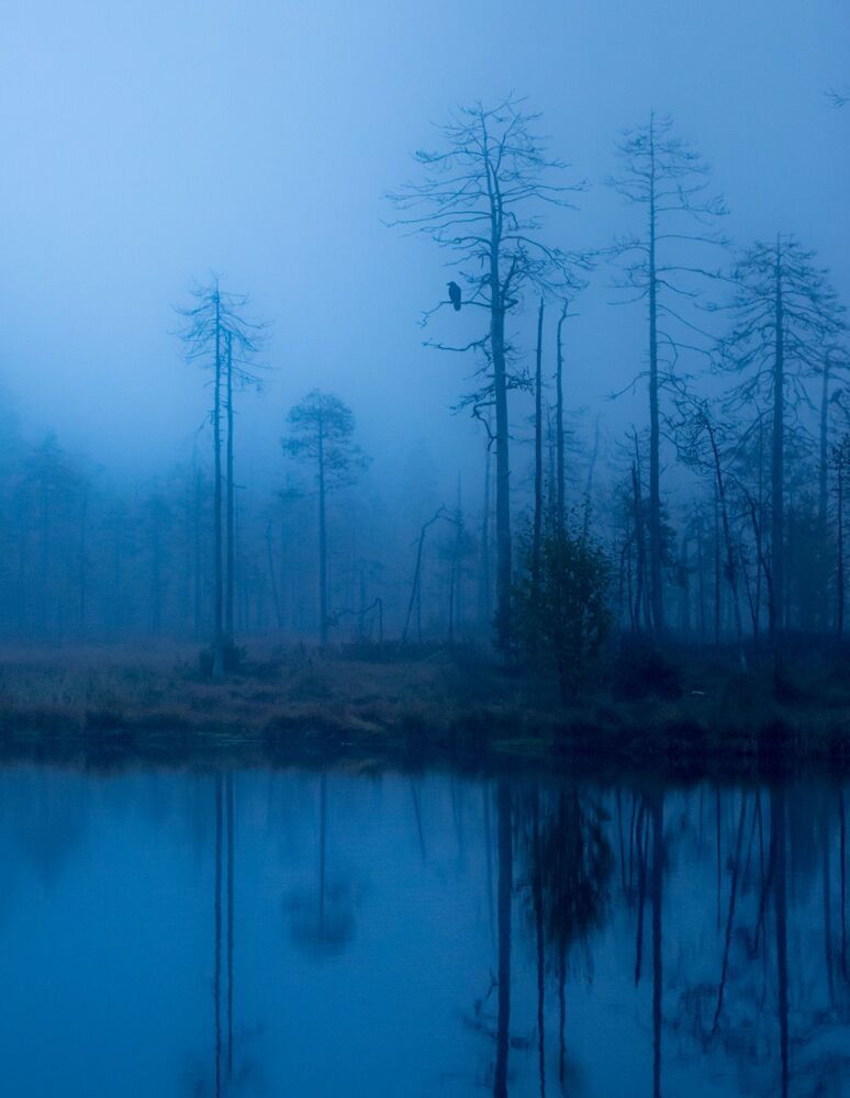 Northern nature