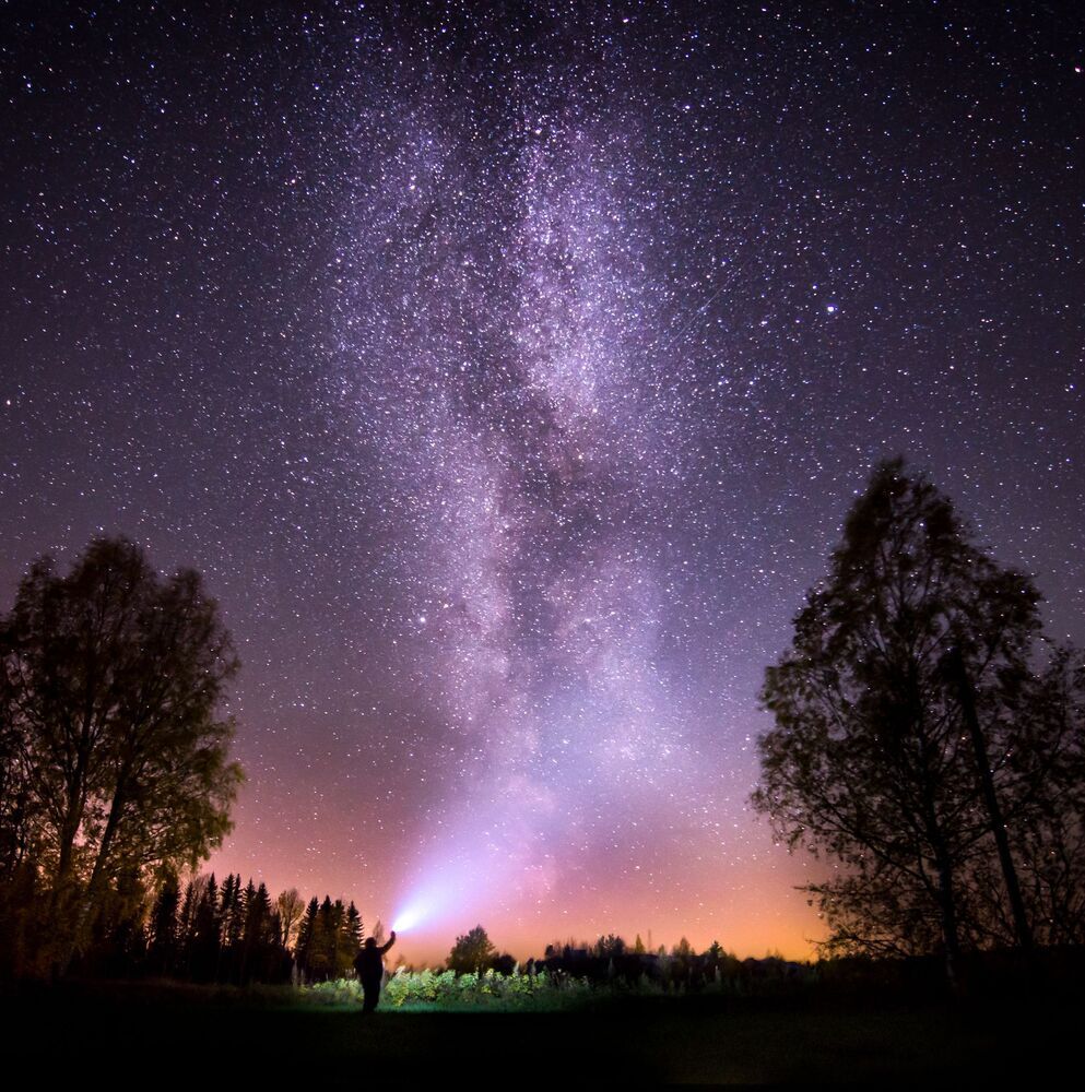 Northern nature