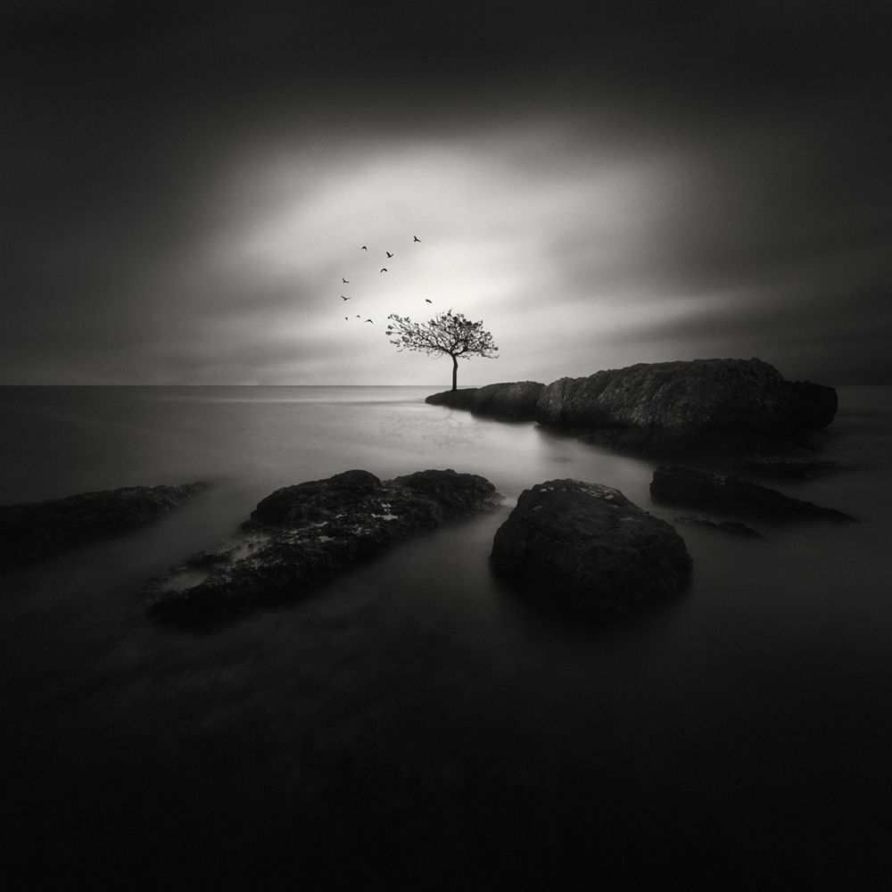 Dark Beauty
