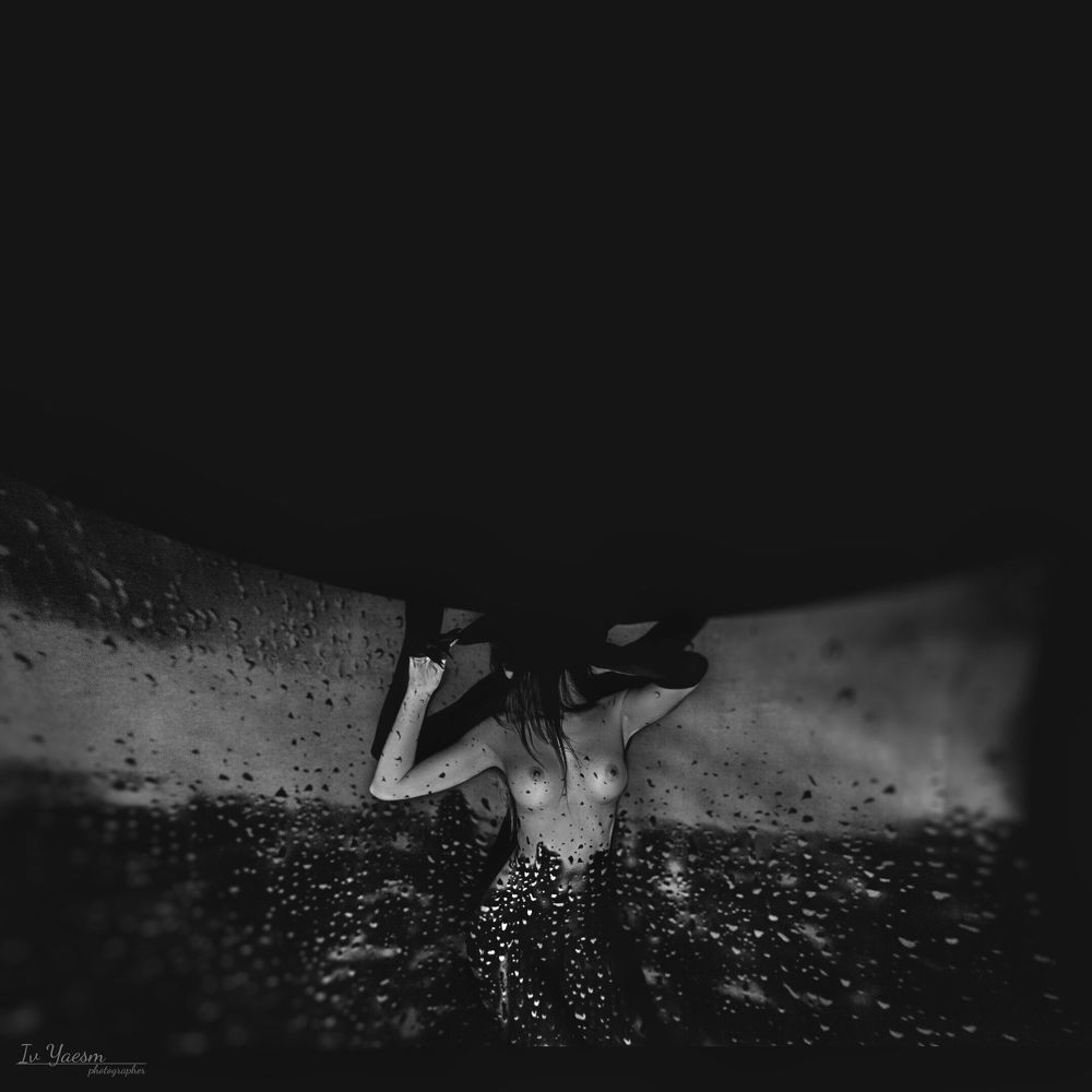 Photo 1031569