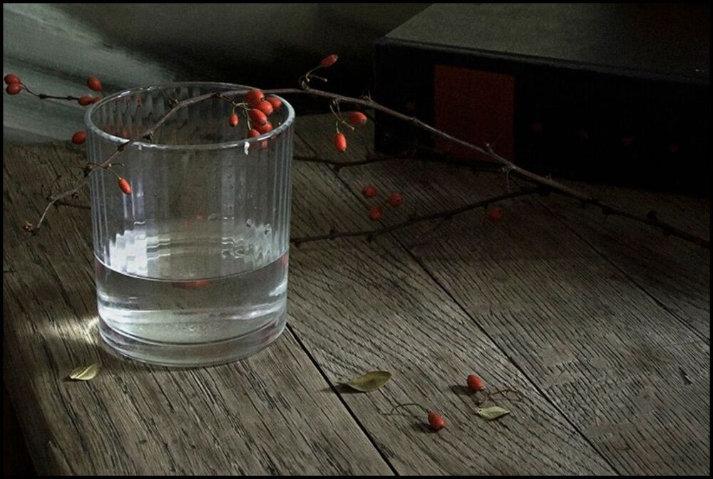 still life, color