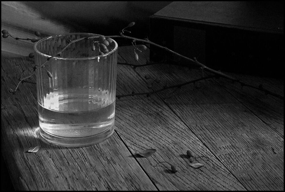 still life, bw