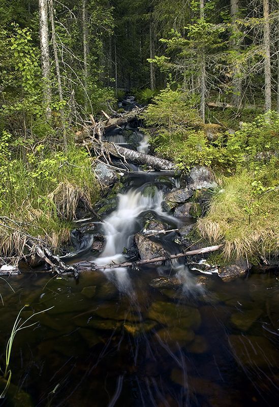 ***