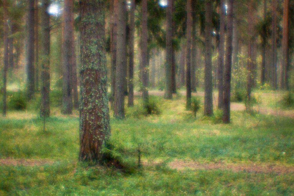Мягкие осенние краски
