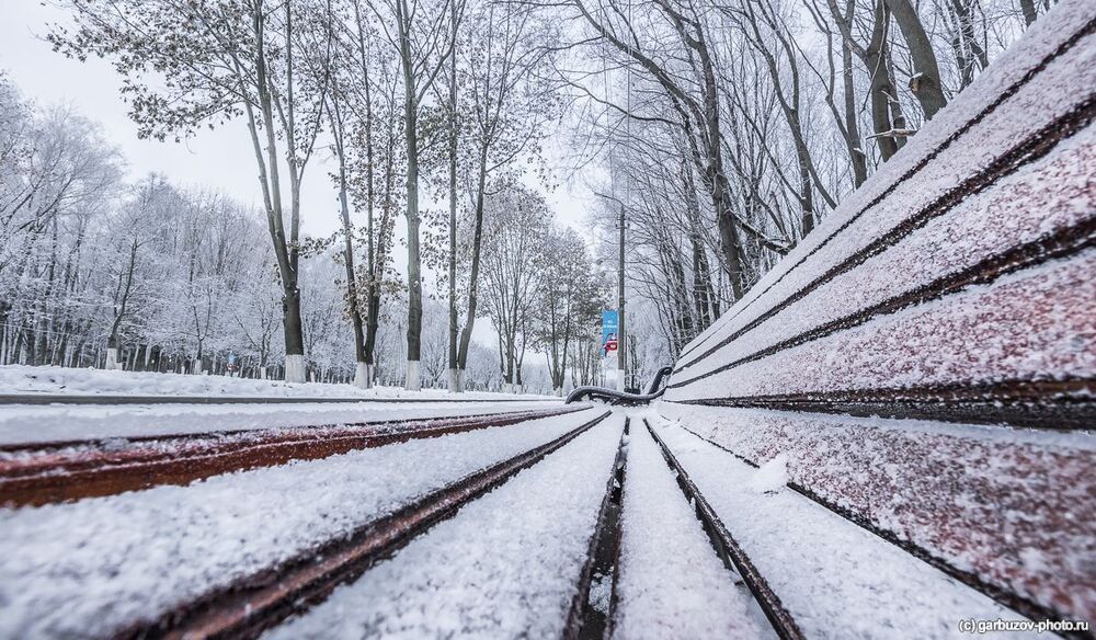 Иней в центральном парке