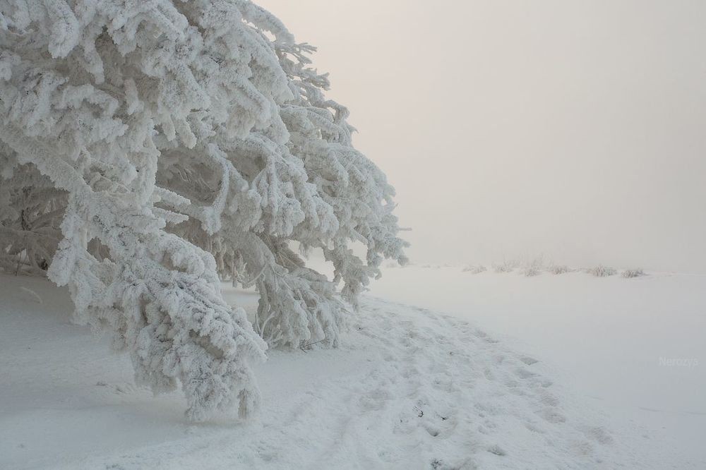 Снежное снежное одеяло зимы