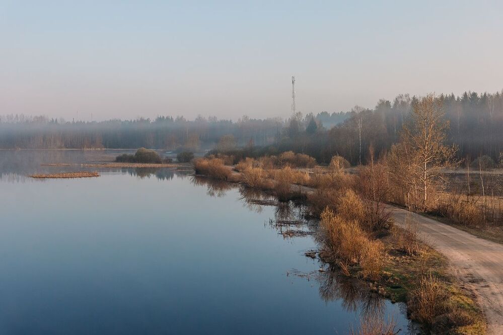 На заре v2