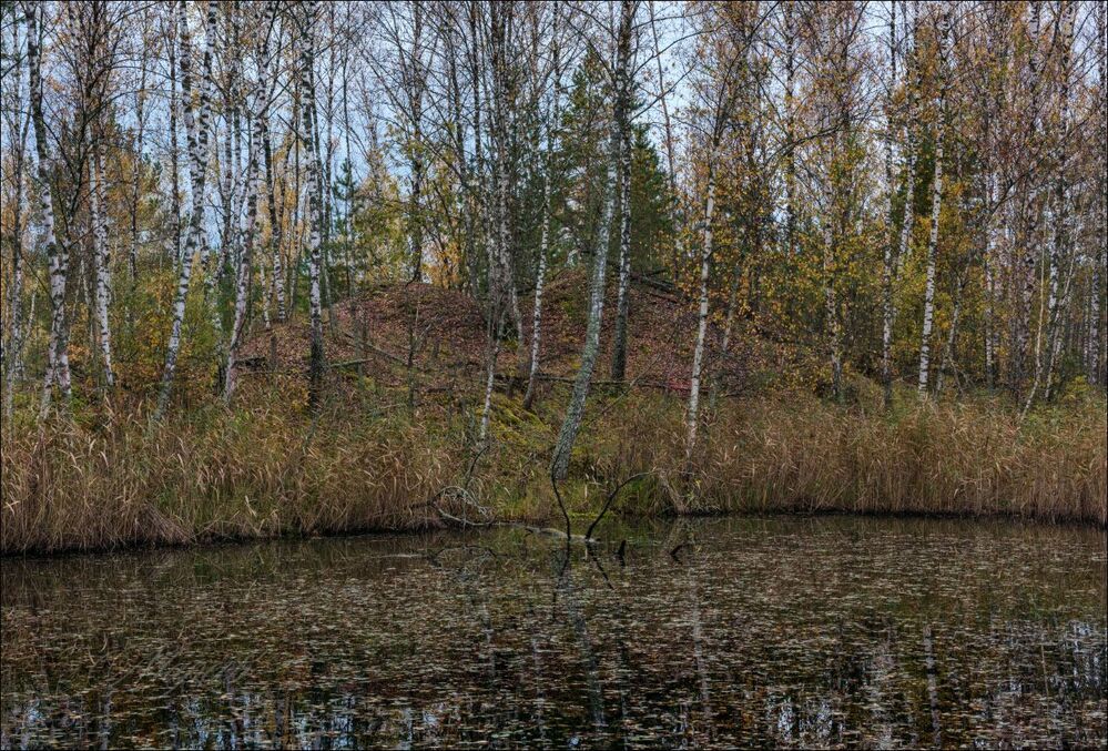 Осеннее кружево