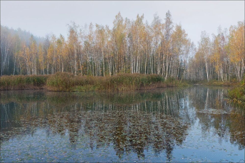Утренний туман рассеивается