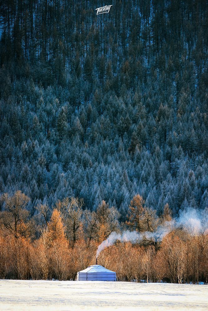Winters of Mongolia