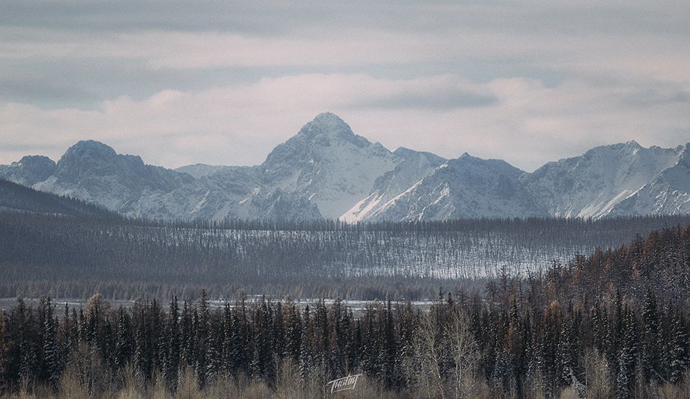 Winters of Mongolia