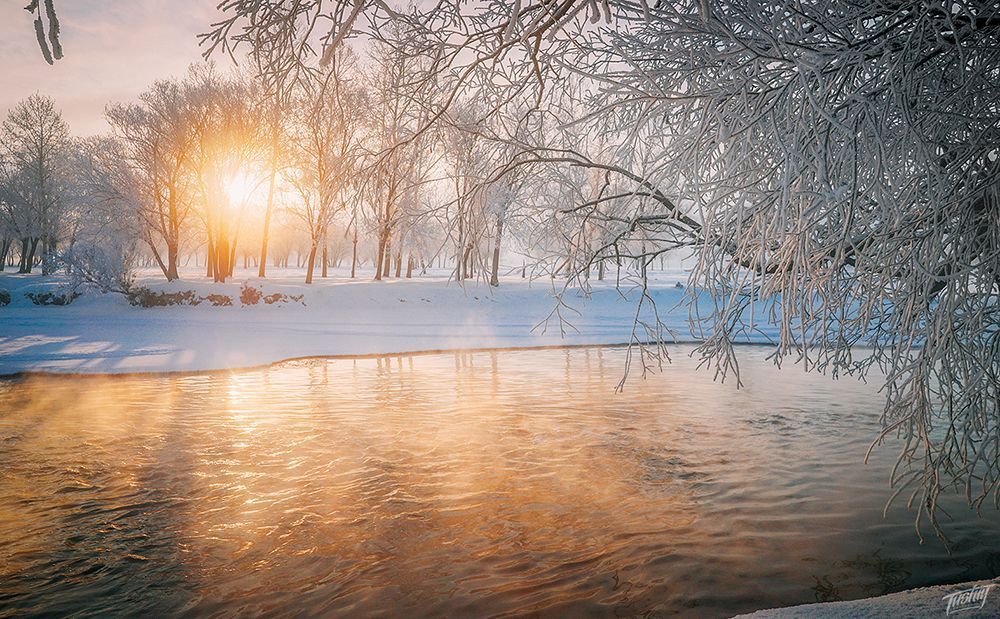 Winters of Mongolia
