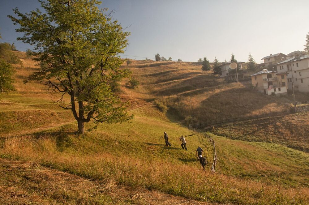 Красота гора Родопи - село Стойките 