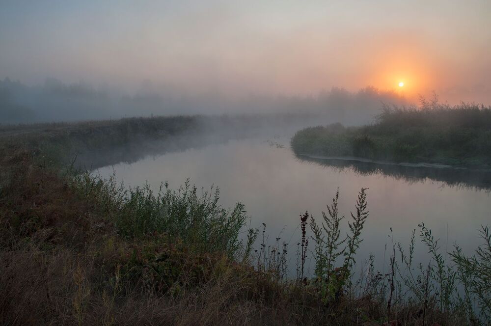 Photo 1036475