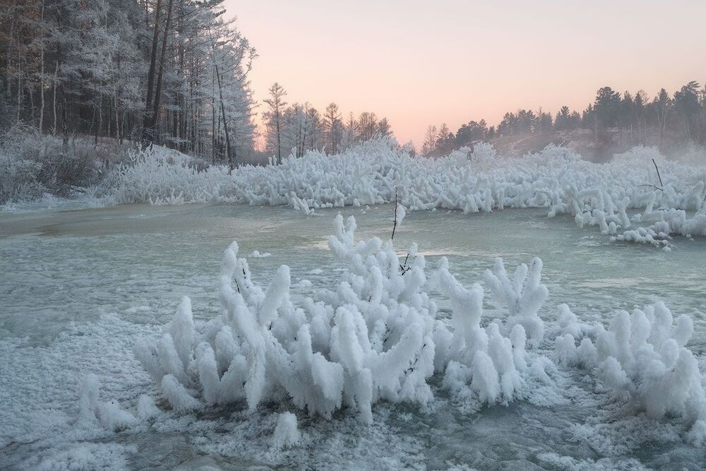 Январские кораллы