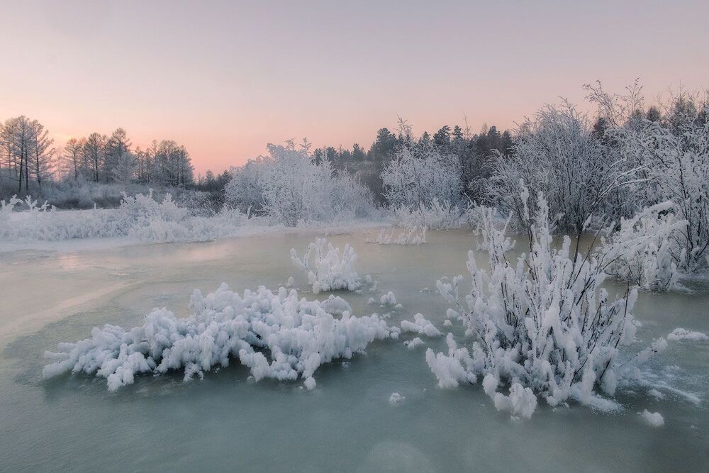 Январские кораллы