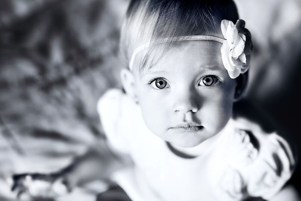 Photo 1036770