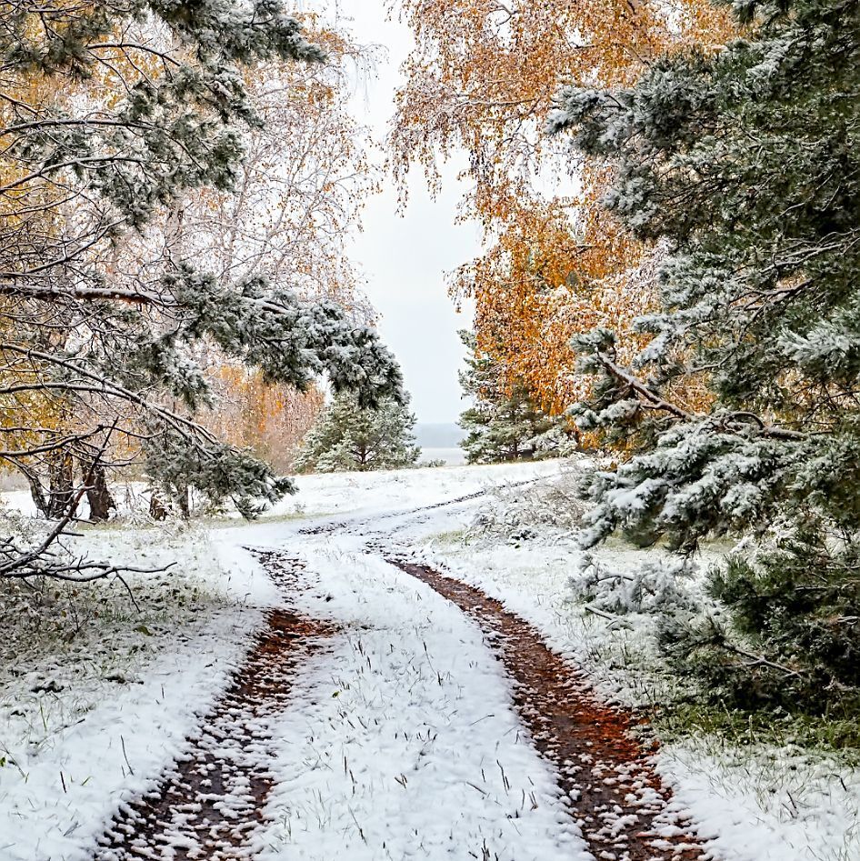 Поздняя осень