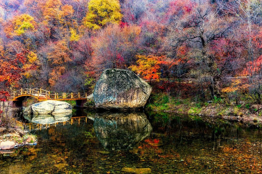 Осень в Маньчжурии.