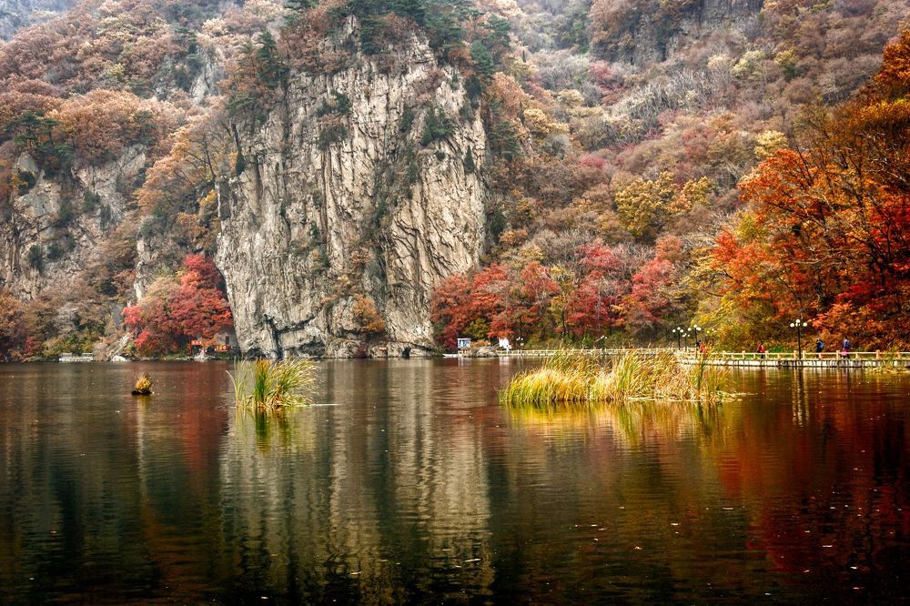 Осень в Маньчжурии.