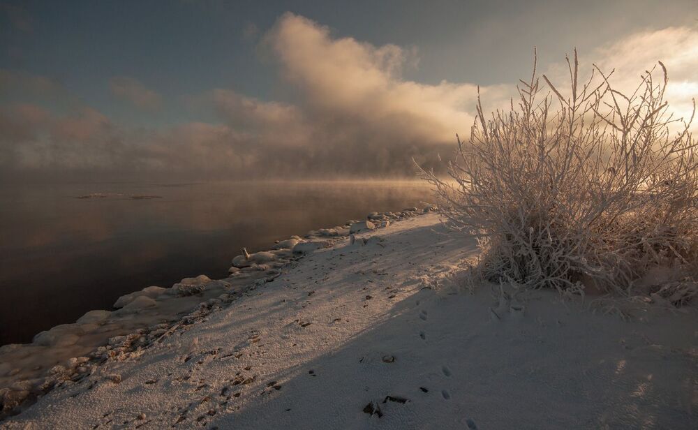 Photo 1037832