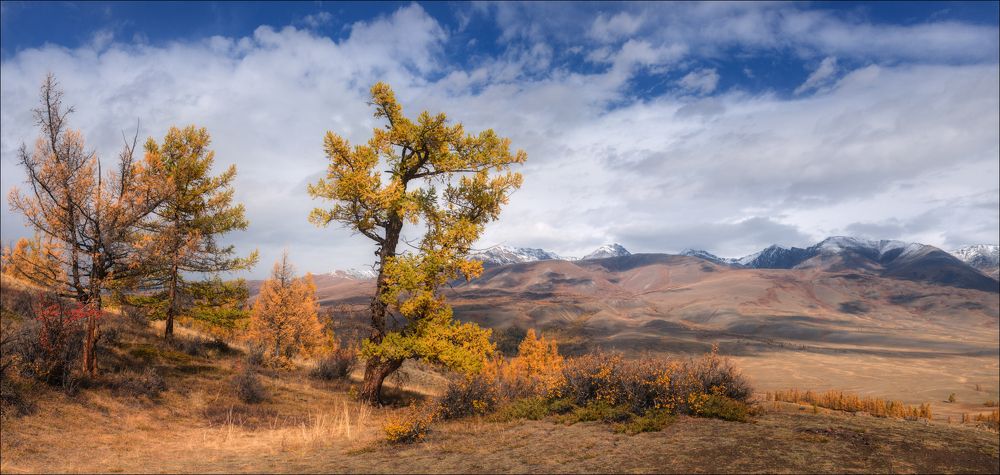 Курайская степь, Курайский хребет