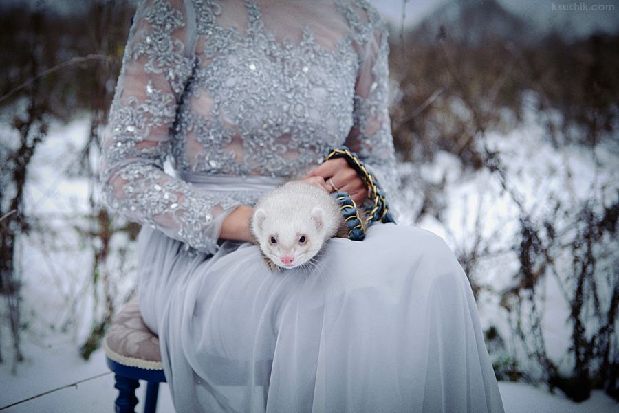 Winter's Tale