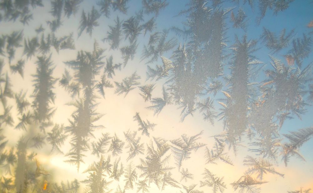 Winter Patterns