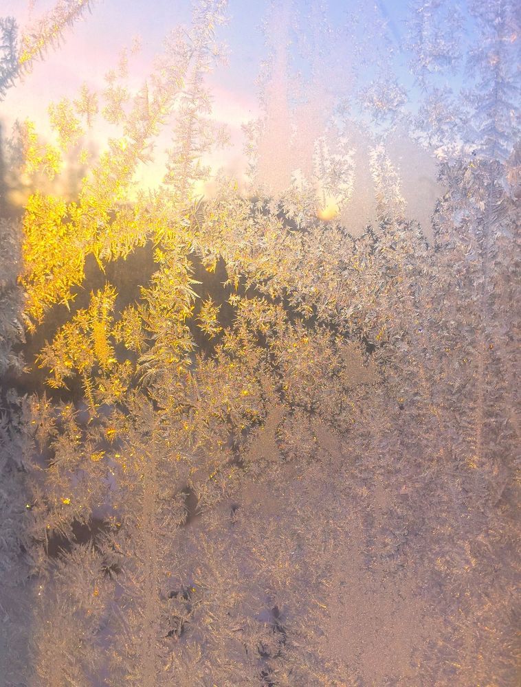 Winter Patterns