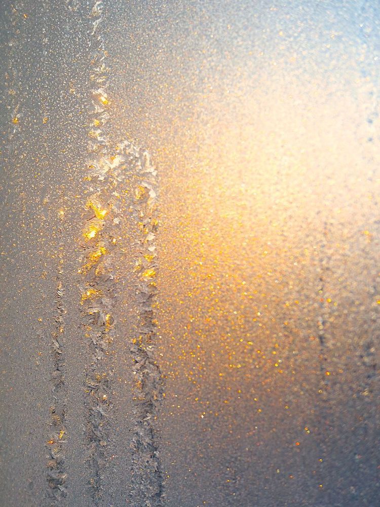 Winter Patterns
