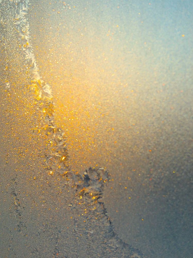 Winter Patterns