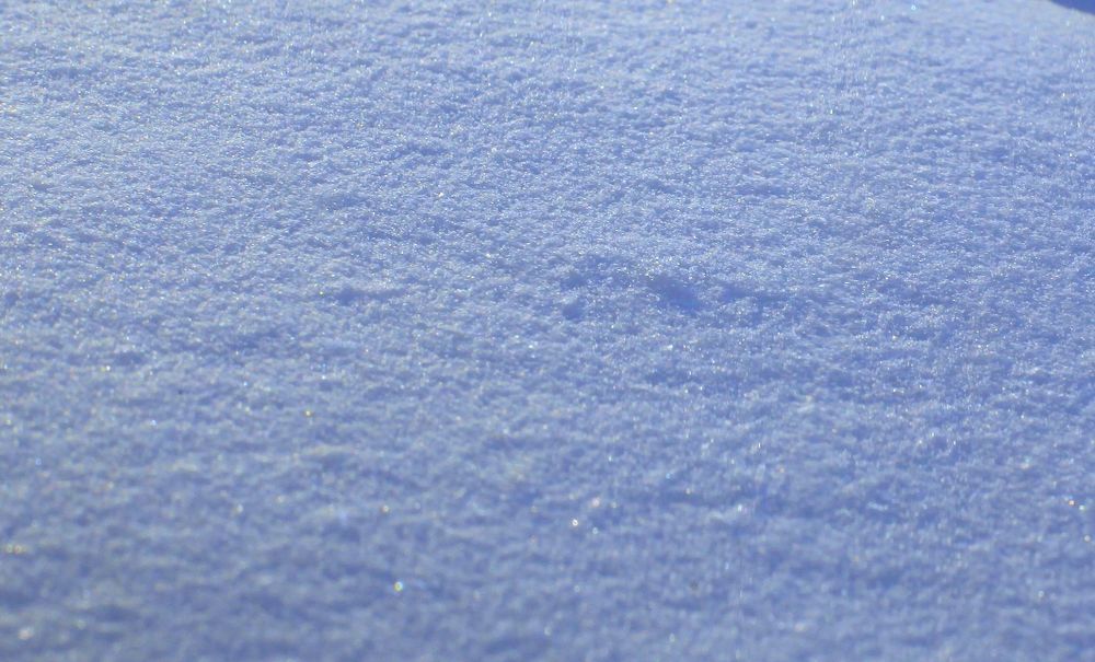 Winter Patterns