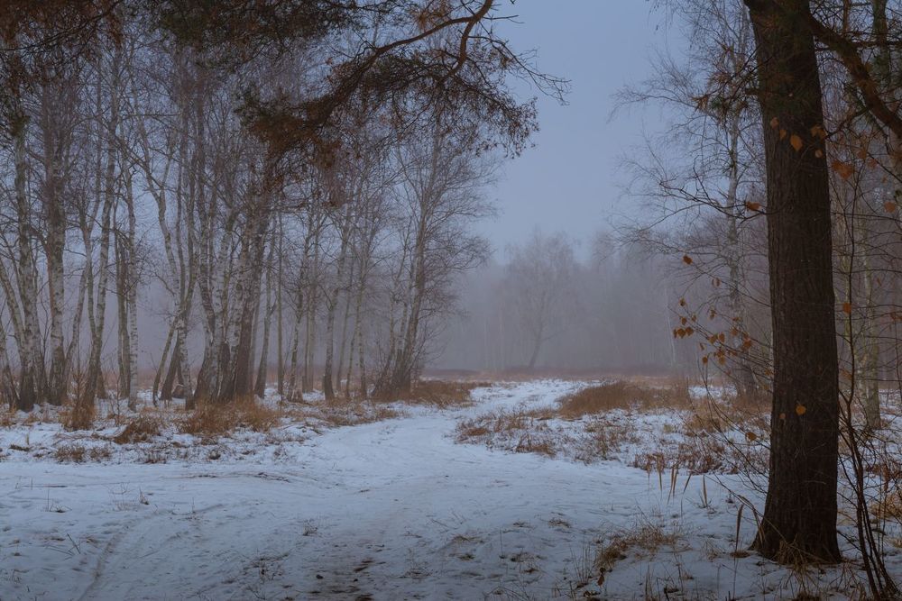 Туманно всё, пустынно, голо, сыро