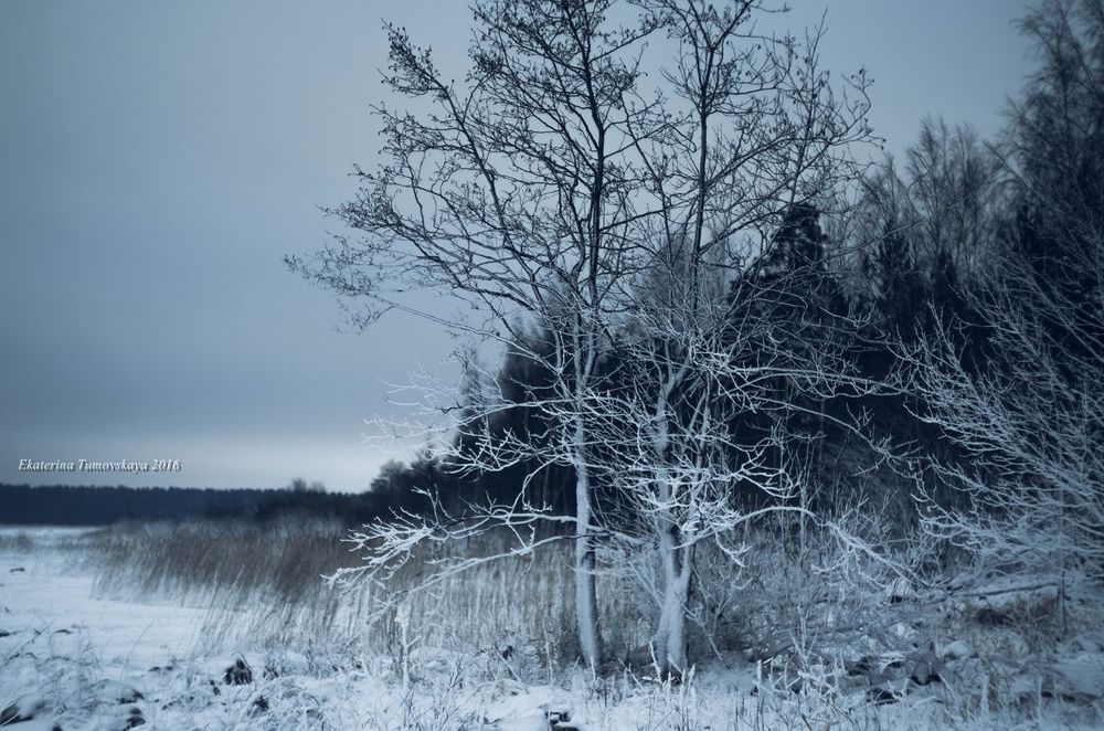 Witer`s story