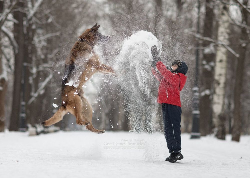 Real Winter Games