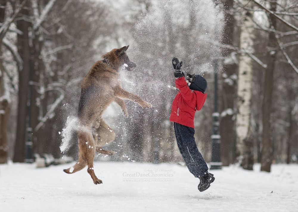 Real Winter Games