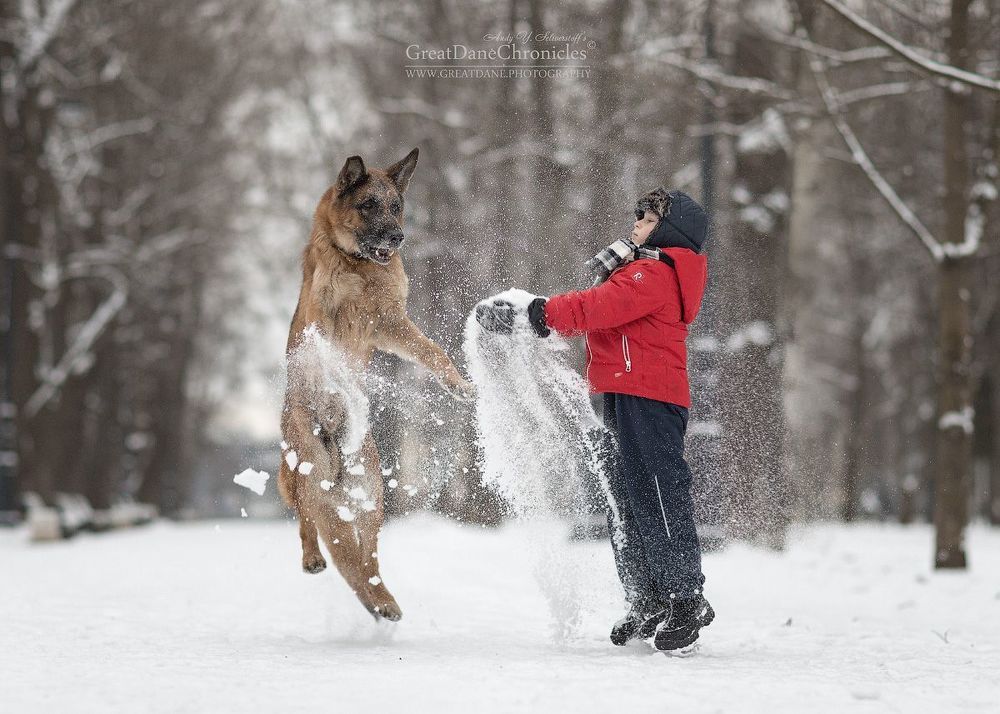 Real Winter Games
