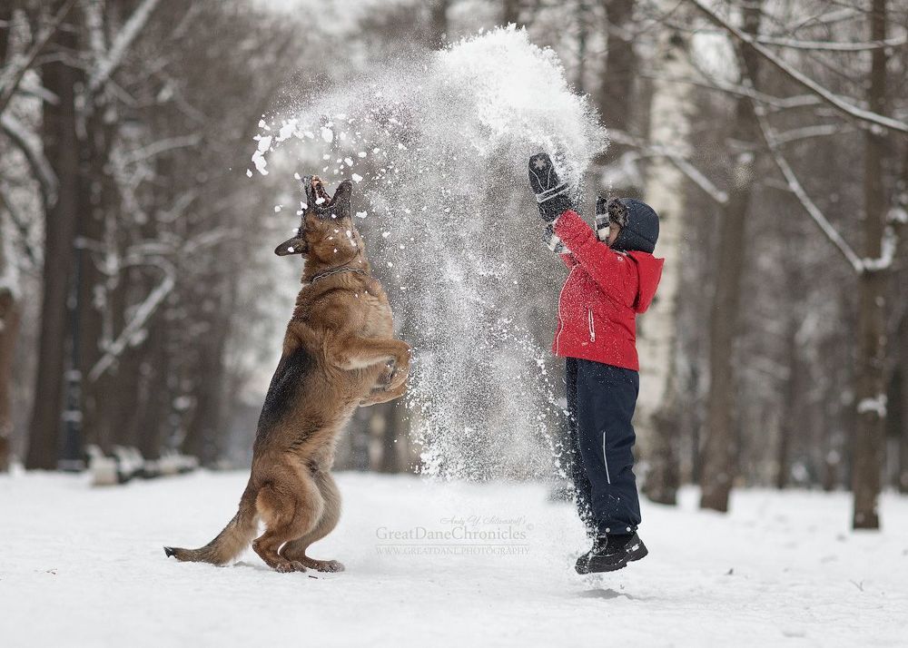 Real Winter Games