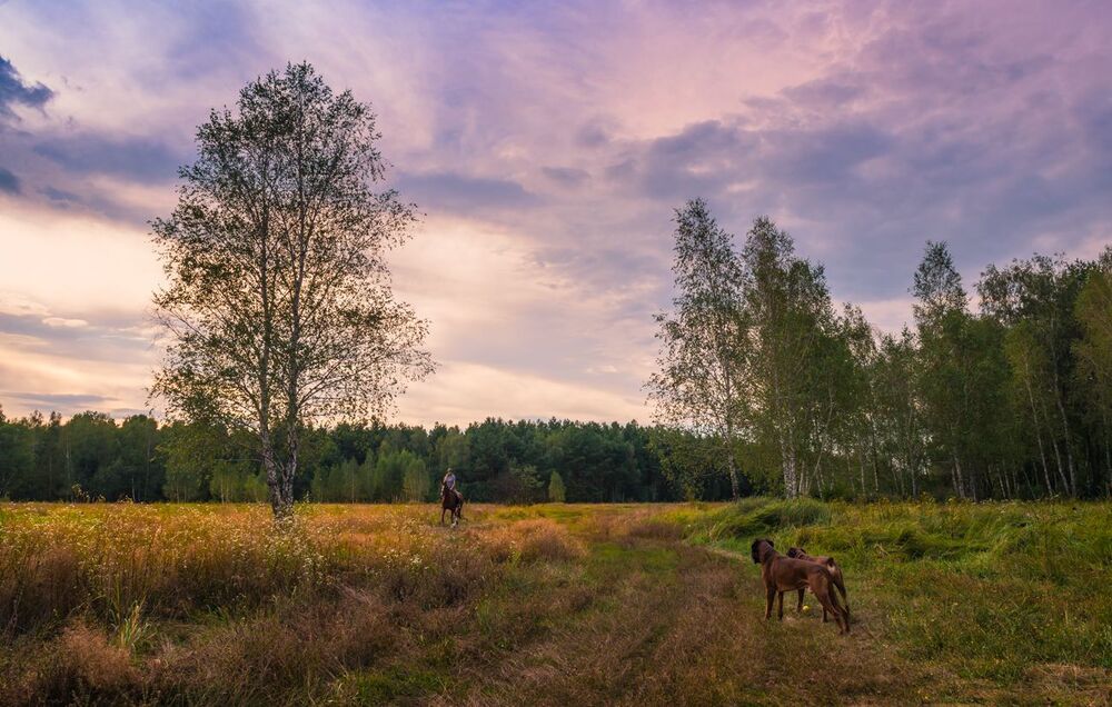 На закате лета