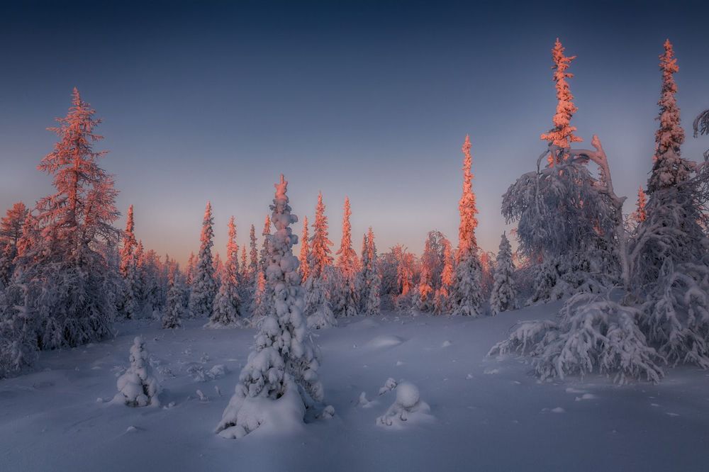 Первые дни января