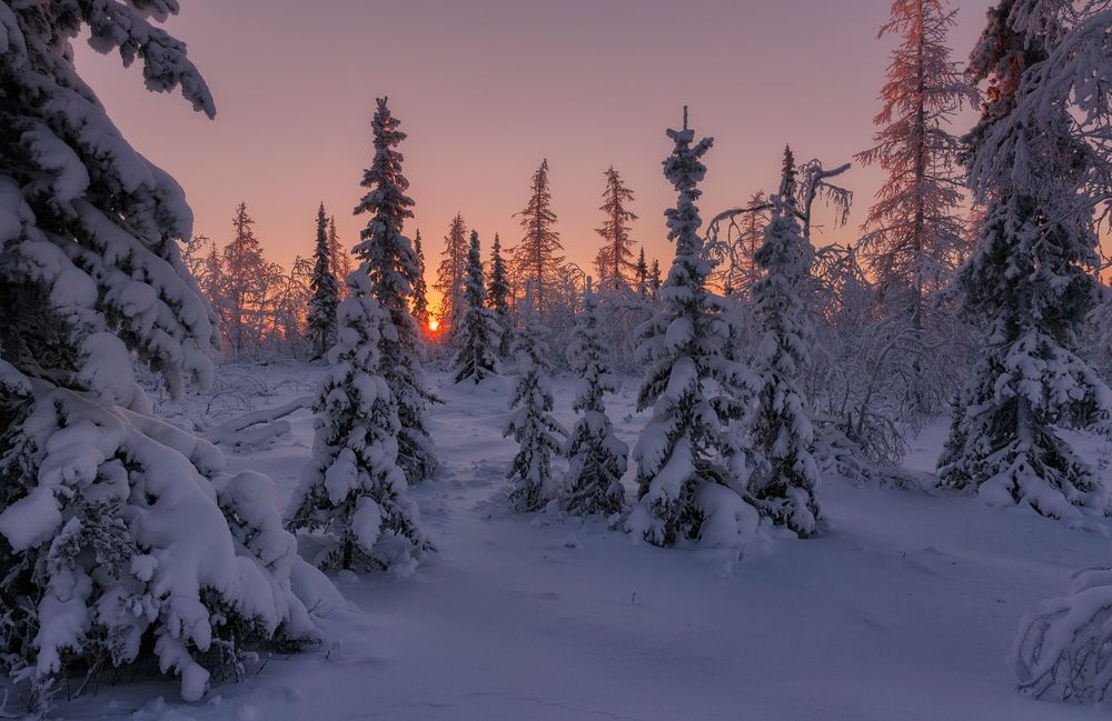 Первые дни января
