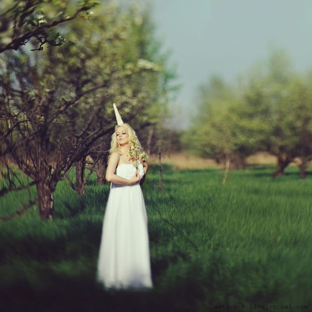 The last unicorn