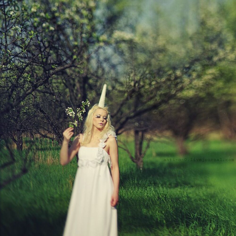 The last unicorn