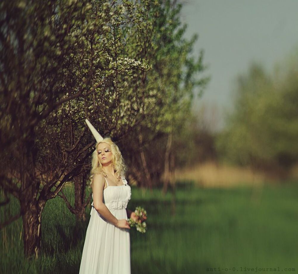 The last unicorn