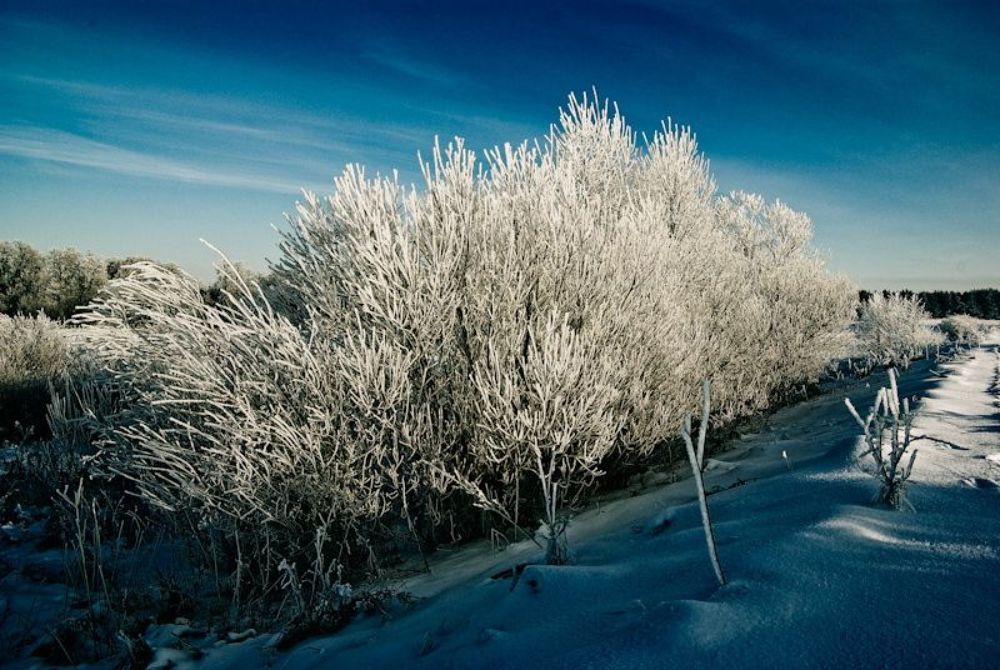 Tолько один день...