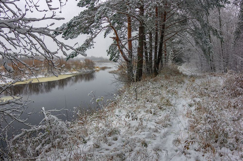 Кружева октября. Первый снег